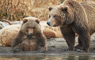 1_pervozdannaya_russia