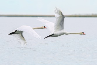 fotovist (8)