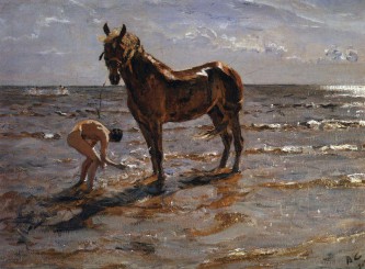 kupanie-loshadi-serov+