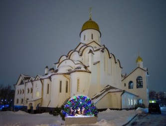 0HV_8541